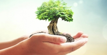 Valores