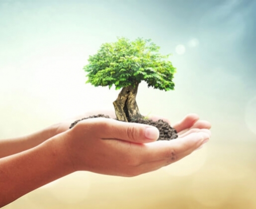 Valores