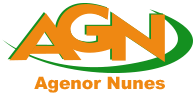 Logo Agenor Nunes